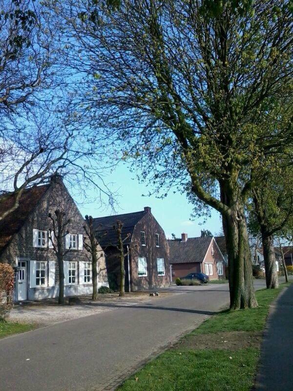 Deluxe Tweepersoonskamer met 1 of 2 Bedden